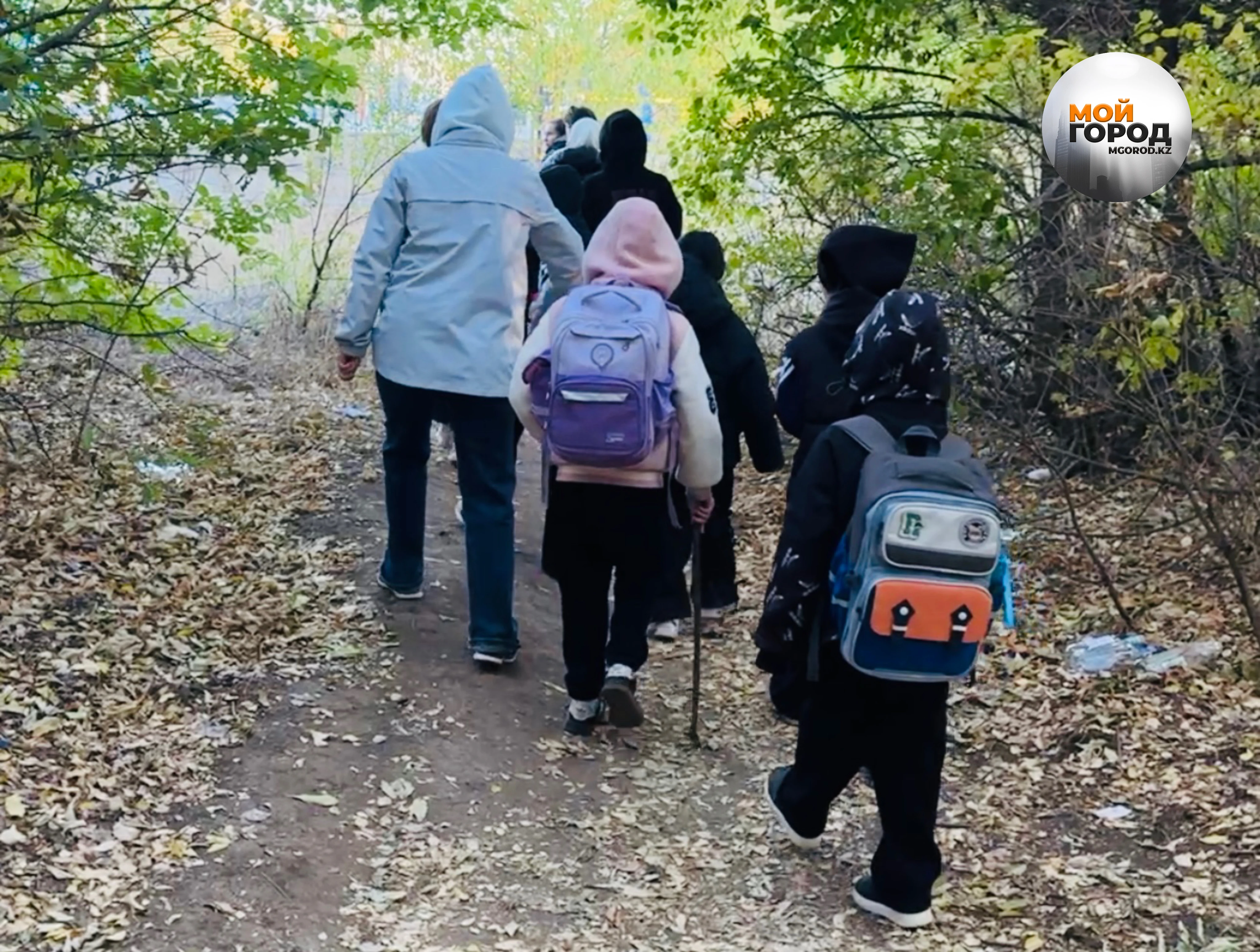 На 10-летнюю школьницу напали в Уральске: родители учеников просят вырубить лес